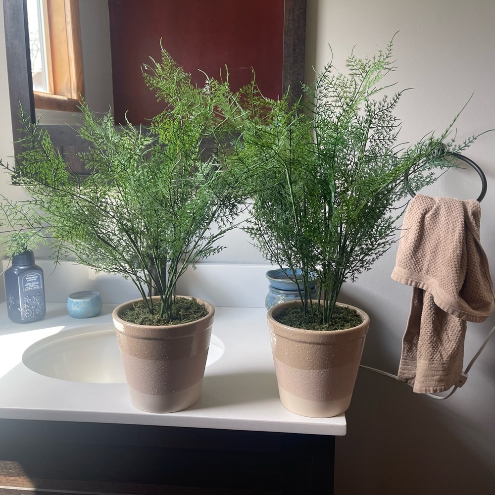 2 Boho-Style Artificial Plants